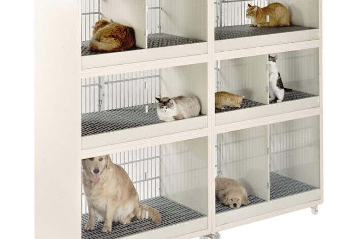 Pet-cages.jpg