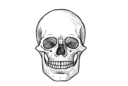 Drawing:Oldj_7nsvxk= Skull