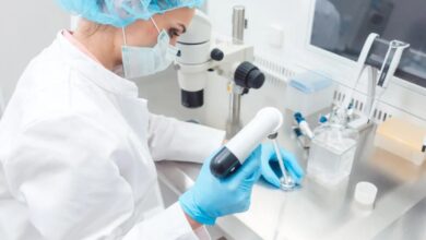 Understanding Stem Cell Science: A Comprehensive Overview